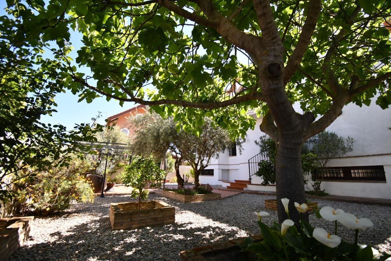 Villa Maria, Piscina Y Spa Exterior Privado Belicena 외부 사진